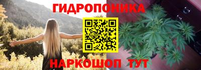 стаф Ипатово
